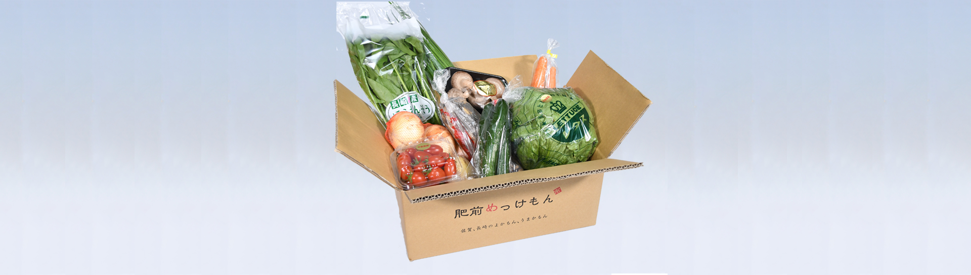 肥前野菜ボックス